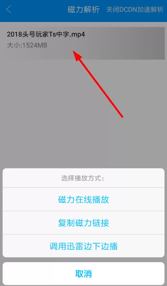 使用磁力影院下载视频的操作流程