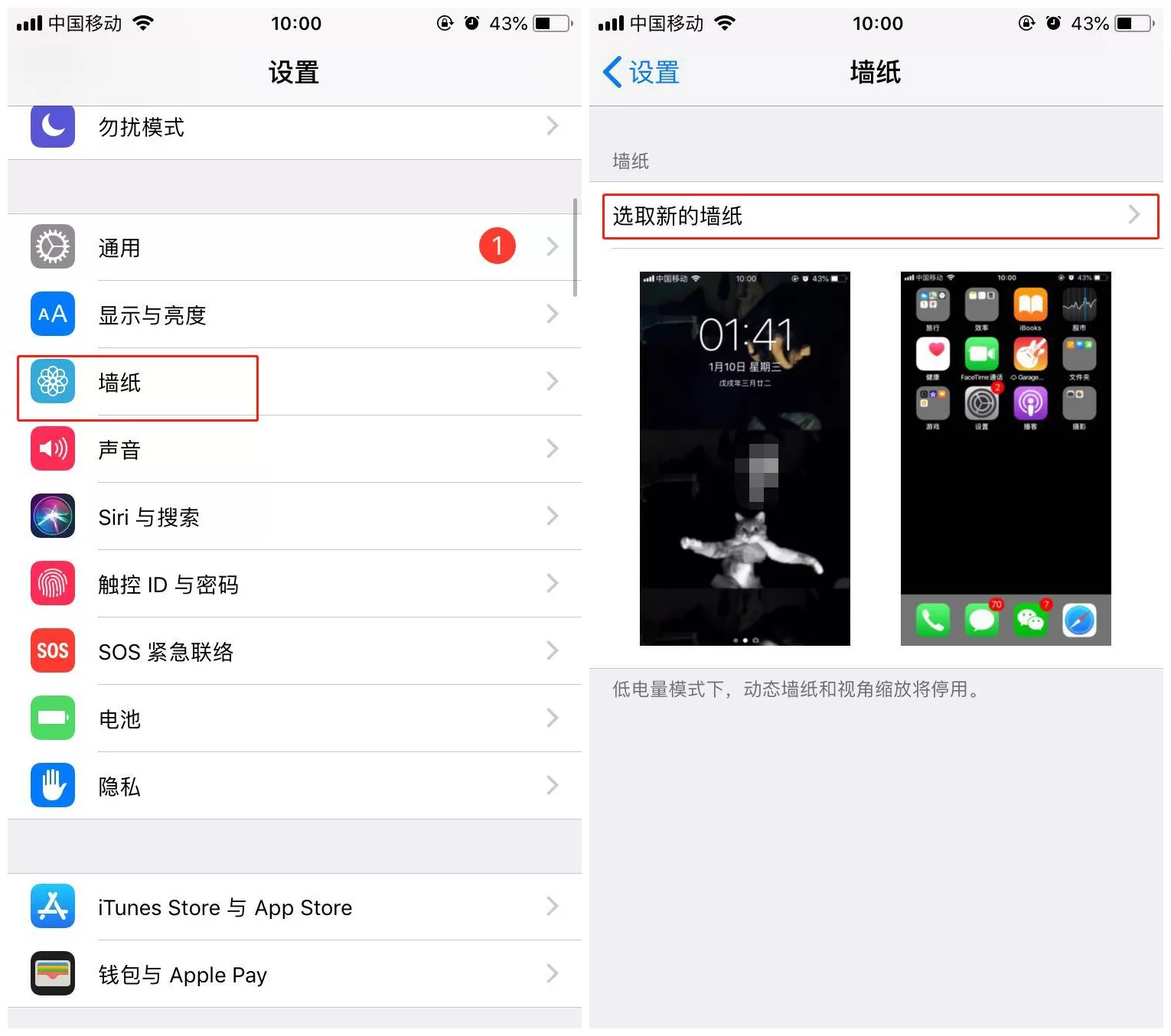 苹果手机设置壁纸的详细操作