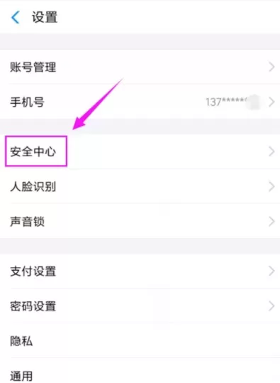支付宝中提高单日余额支付额度的具体操作方法
