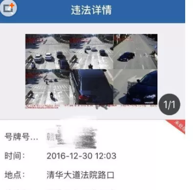交管12123中查违章的操作方法