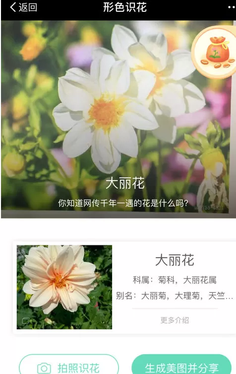 在支付宝中使用识别植物和花功能的操作步骤
