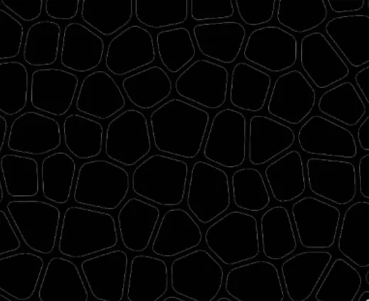 ps制作出鹅卵石路面效果的具体操作过程