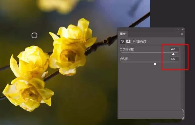 使用ps精修花朵图片的操作步骤