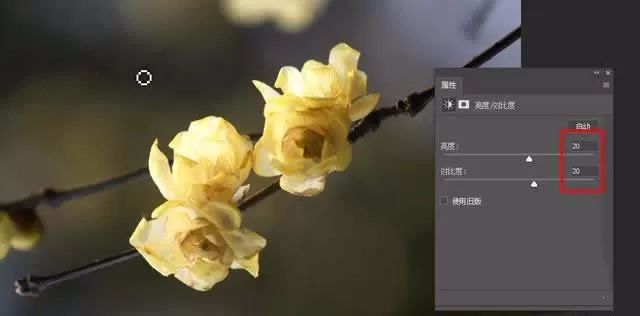 使用ps精修花朵图片的操作步骤
