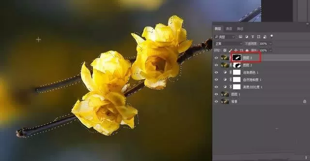 使用ps精修花朵图片的操作步骤