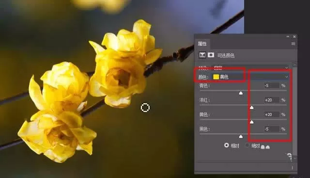 使用ps精修花朵图片的操作步骤