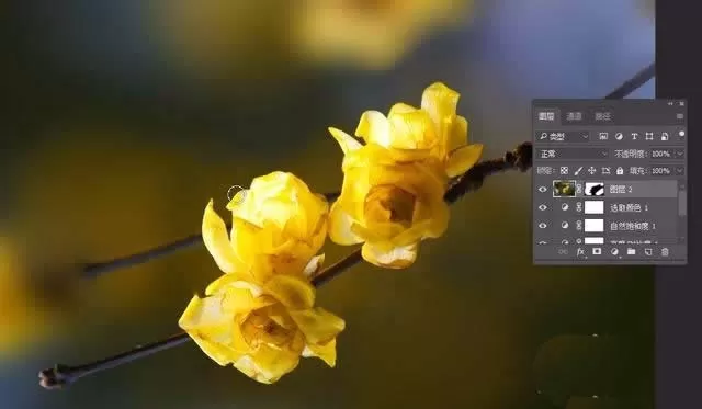 使用ps精修花朵图片的操作步骤