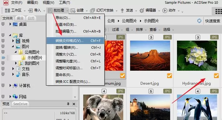 使用acdsee进行编辑图片的操作教程