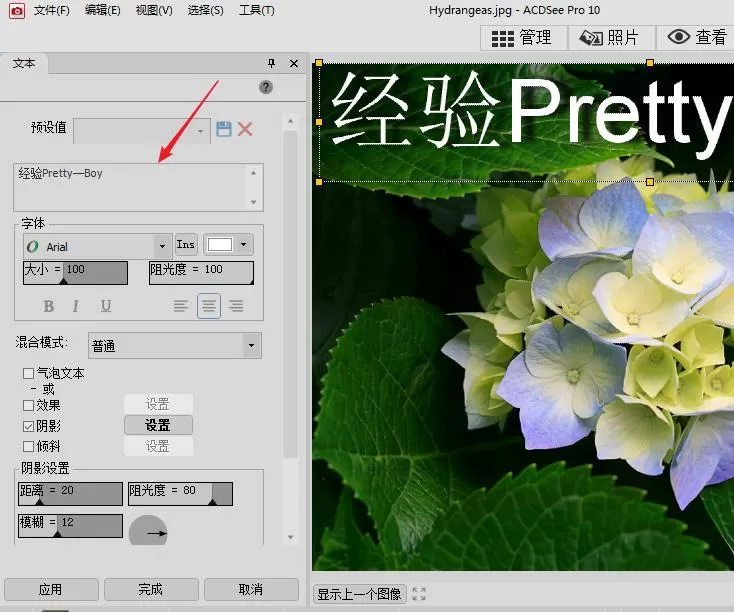 使用acdsee进行编辑图片的操作教程