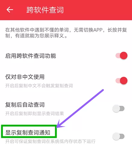 网易有道词典跨软件查词功能使用技巧分享