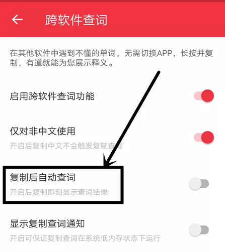 网易有道词典跨软件查词功能使用技巧分享