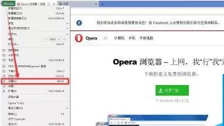 Opera浏览器中设置隐私的操作过程