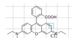 在ChemDraw中使用快捷键的详细操作步骤