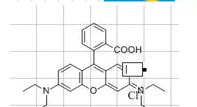 在ChemDraw中使用快捷键的详细操作步骤
