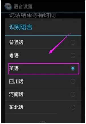 讯飞输入法更改识别语言的操作过程