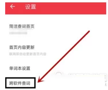 有道词典中开启复制后自动查词的具体操作步骤