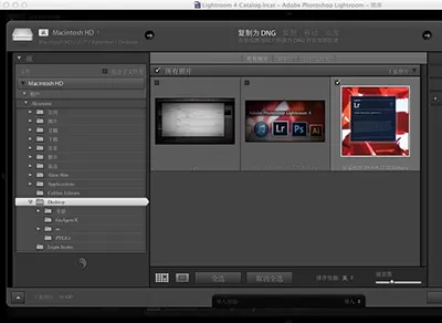使用Lightroom Mac版制作出胶片效果的详细方法