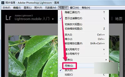 在lightroom中使用视图模式的详细操作方法