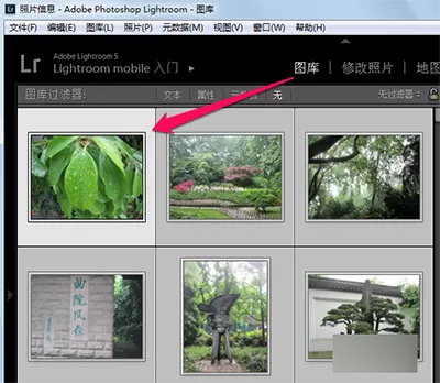 在lightroom中使用视图模式的详细操作方法