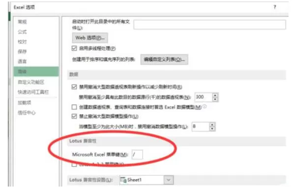 Excel表格里无法输入斜线的处理教程