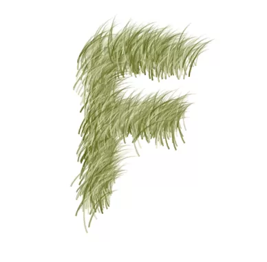PS制作出小草字体文字效果的操作流程