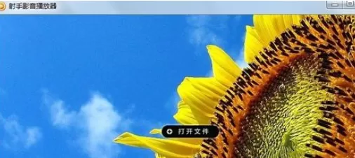 在射手播放器中加载字幕的具体方法