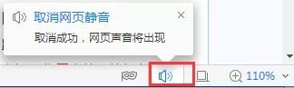 2345加速浏览器播放视频没有声音的处理教程