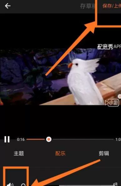 小影开通VIP的操作教程分享