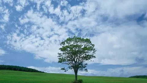 使用photoshop制作出撕开纸效果的详细操作步骤