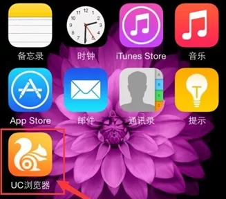 手机uc浏览器中实行查快递的具体步骤