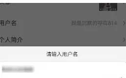 悟空问答中实行更改用户名的具体步骤