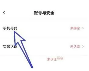 faceu激萌绑定手机号的图文教程