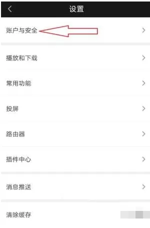 爱奇艺查看登录记录的操作技巧