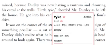有道词典没有网络进行查询单词的操作教程