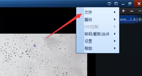 在qq播放器中实行添加标签的详细步骤