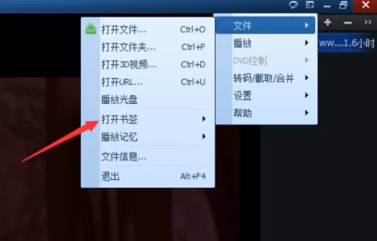 在qq播放器中实行添加标签的详细步骤