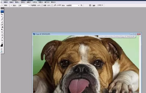 photoshop中实行使用液化工具的详细步骤