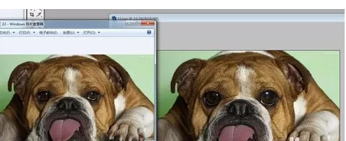 photoshop中实行使用液化工具的详细步骤