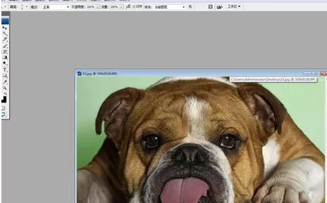 photoshop中实行使用液化工具的详细步骤
