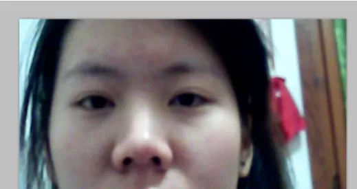 使用photoshop进行修饰鼻子的操作步骤