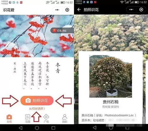 利用微信拍照识别植物的操作教程