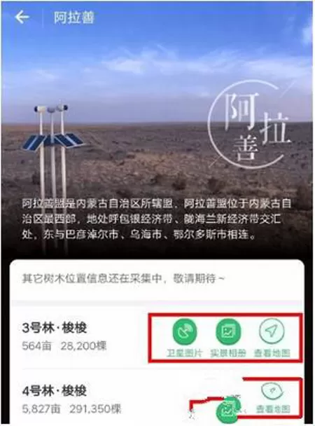 支付宝蚂蚁森林查看实景地图的图文教程