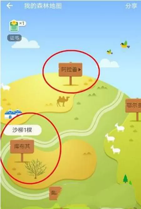 支付宝蚂蚁森林查看实景地图的图文教程