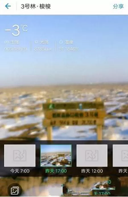 支付宝蚂蚁森林查看实景地图的图文教程