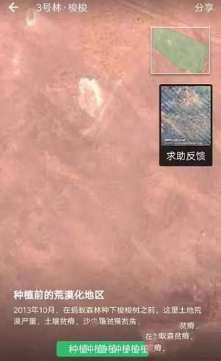 支付宝蚂蚁森林查看实景地图的图文教程