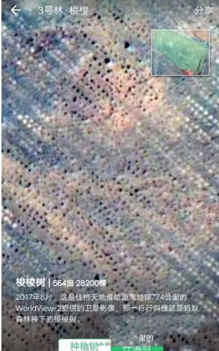 支付宝蚂蚁森林查看实景地图的图文教程