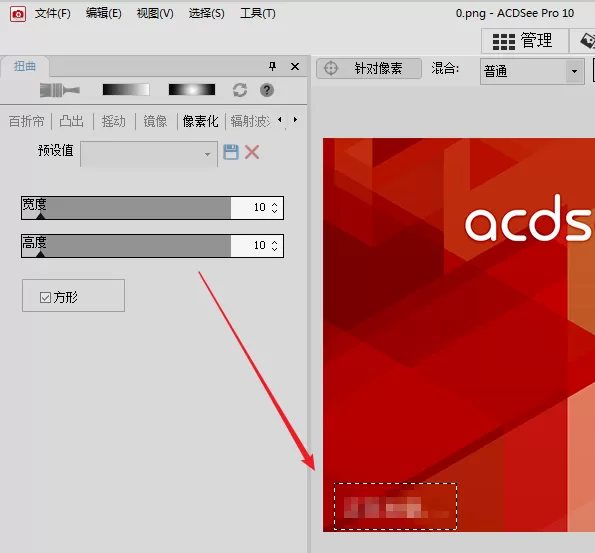 使用Acdsee给图片打马赛克的操作步骤