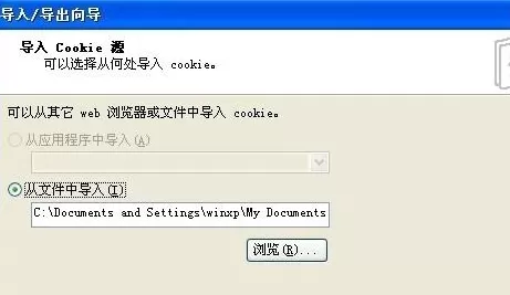 光速浏览器中实行导入及导出cookie的具体操作步骤