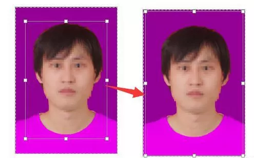 利用Word更换照片背景色的操作教程