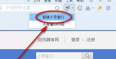在搜狗浏览器中实行建立小号窗口的操作方法